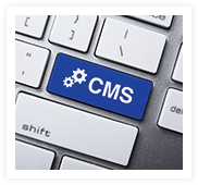 Integration Services